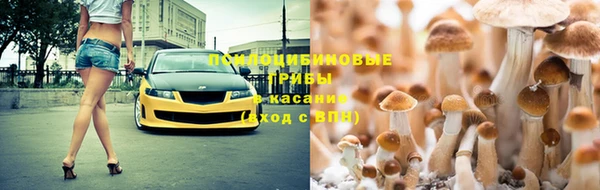 СК Балахна