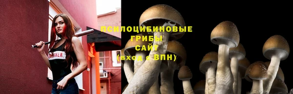 СК Балахна