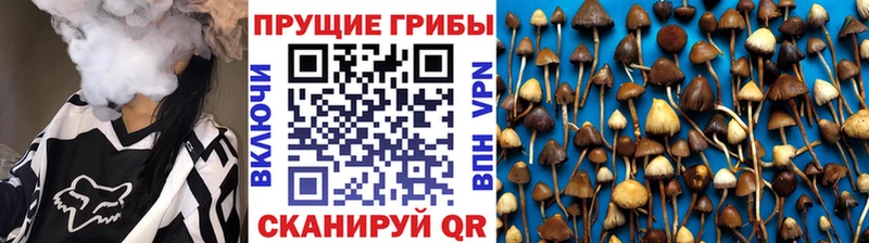 Галлюциногенные грибы GOLDEN TEACHER  цены наркотик  Унеча 